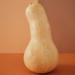Bottle Gourd