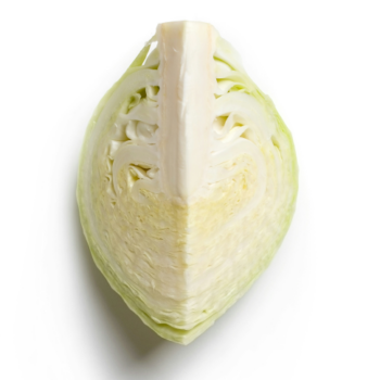 Cabbage