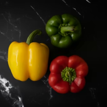 Capsicum