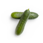 Cucumber