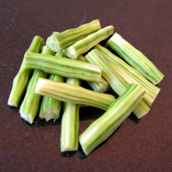 Drumstick