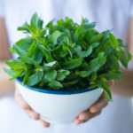 Mint