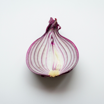 Onion