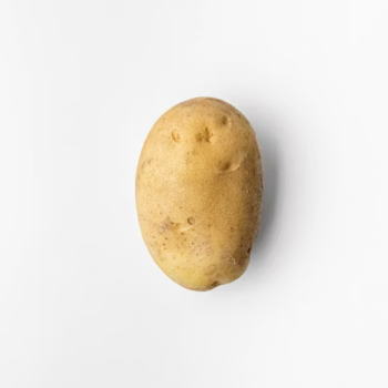 Potato