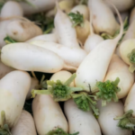Radish