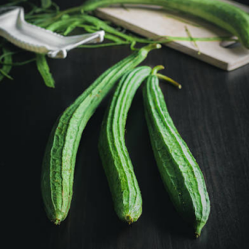 Ridge Gourd